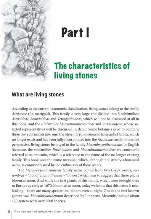 EBOOK The Cultivation of Lithops and Other Living Stones - Image 4