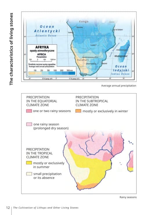 EBOOK The Cultivation of Lithops and Other Living Stones - Image 8