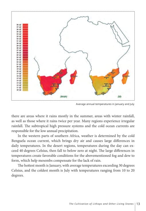 EBOOK The Cultivation of Lithops and Other Living Stones - Image 9