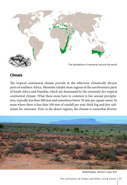 EBOOK The Cultivation of Lithops and Other Living Stones - Image 7